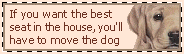 dog sign