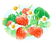 rainy strawberries