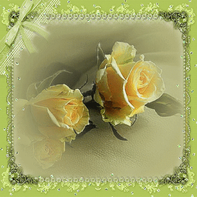 yellow roses